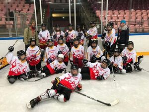 Die Ice-Tigers beim Eishockeyturnier 2018/19
